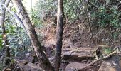 Randonnée Marche Kani-Kéli - Mayotte - 5 ème jour - descente du Mont Mlima Choungui - Photo 3