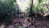 Randonnée Marche Kani-Kéli - Mayotte - 5 ème jour - descente du Mont Mlima Choungui - Photo 11
