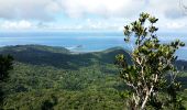 Randonnée Marche Kani-Kéli - Mayotte - 5 ème jour - descente du Mont Mlima Choungui - Photo 10