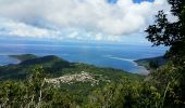 Randonnée Marche Kani-Kéli - Mayotte - 5 ème jour - descente du Mont Mlima Choungui - Photo 9