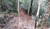 Randonnée Marche Kani-Kéli - Mayotte - 5 ème jour - descente du Mont Mlima Choungui - Photo 8