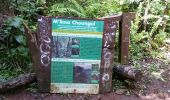 Randonnée Marche Kani-Kéli - Mayotte - 5 ème jour - descente du Mont Mlima Choungui - Photo 7