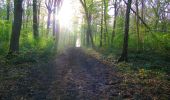 Trail Walking Ivors - en forêt de Retz_53_Ivors_Le Plessis aux Bois_Coyolles_Boursonne_AR - Photo 9
