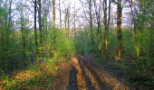 Trail Walking Ivors - en forêt de Retz_53_Ivors_Le Plessis aux Bois_Coyolles_Boursonne_AR - Photo 7