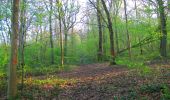 Trail Walking Ivors - en forêt de Retz_53_Ivors_Le Plessis aux Bois_Coyolles_Boursonne_AR - Photo 6