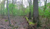 Tocht Stappen Ivors - en forêt de Retz_53_Ivors_Le Plessis aux Bois_Coyolles_Boursonne_AR - Photo 5
