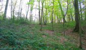 Tocht Stappen Ivors - en forêt de Retz_53_Ivors_Le Plessis aux Bois_Coyolles_Boursonne_AR - Photo 3