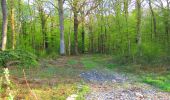 Tocht Stappen Ivors - en forêt de Retz_53_Ivors_Le Plessis aux Bois_Coyolles_Boursonne_AR - Photo 15