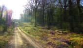 Trail Walking Ivors - en forêt de Retz_53_Ivors_Le Plessis aux Bois_Coyolles_Boursonne_AR - Photo 18