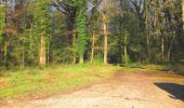 Tocht Stappen Ivors - en forêt de Retz_53_Ivors_Le Plessis aux Bois_Coyolles_Boursonne_AR - Photo 13
