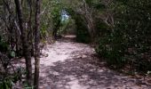 Trail Walking Port-Louis - anse bertrand - Photo 18
