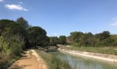 Excursión Senderismo Valergues - Les hauts de Valergues - Photo 1