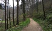 Randonnée Autre activité Waldbillig - Luxemburg: Mullerthal - Consdorf - Mullerthal - Photo 3