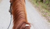 Trail Equestrian Péron - Randonnée St jean de gonville - Photo 1