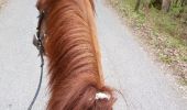 Excursión Caballo Péron - Randonnée St jean de gonville - Photo 1