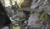 Trail Walking Broc - Gorges de la Jogne, lac de Montsalvens circuit 07.04.17 - Photo 2