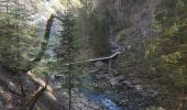 Trail Walking Broc - Gorges de la Jogne, lac de Montsalvens circuit 07.04.17 - Photo 14