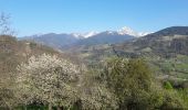 Percorso Mountainbike Valgelon-La Rochette - brame farine - Photo 3