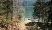 Trail Walking Murbach - murbach ebeneck judenhut grand ballon , lac du ballon, gustiberg, wolfsgrube, murbach - Photo 1