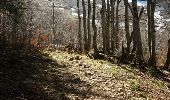 Trail Walking Chézery-Forens - Reculet Curson Crêt de la neige - Photo 1