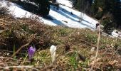 Trail Walking Chézery-Forens - Reculet Curson Crêt de la neige - Photo 2
