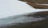 Tour Wandern Chézery-Forens - Reculet Curson Crêt de la neige - Photo 4