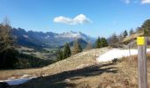 Randonnée Marche Gresse-en-Vercors - Le Grand Brisoux - Photo 3