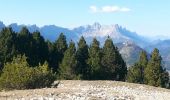 Randonnée Marche Gresse-en-Vercors - Le Grand Brisoux - Photo 1