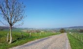 Excursión Bicicleta Valkenburg aan de Geul - maastricht nl-limburg 3-landenpunt voeren - Photo 14