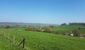 Excursión Bicicleta Valkenburg aan de Geul - maastricht nl-limburg 3-landenpunt voeren - Photo 13