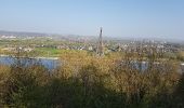 Tour Fahrrad Falkenburg an der Göhl - maastricht nl-limburg 3-landenpunt voeren - Photo 8