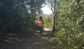 Trail Walking Riols - rando riols - Photo 7