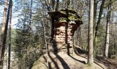 Trail Walking Dahn - Dahner Felsenpfad - Photo 17