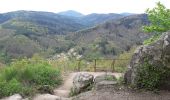Trail Walking Barr - Entre vignobles et châteaux - Photo 20