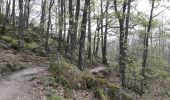 Trail Walking Barr - Entre vignobles et châteaux - Photo 19