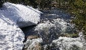 Tocht Stappen La Llagonne - Lac de Bouillouses - Photo 1