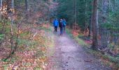 Trail Walking Lans-en-Vercors - 38_Lans_Cordeliere_Croix Chabaud  - Photo 3