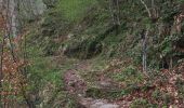 Randonnée Marche Larrau - holzarte boucle - Photo 10