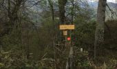 Randonnée Marche Larrau - holzarte boucle - Photo 6
