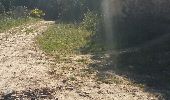 Trail Walking Roullens - promenade du domaine fantôme  - Photo 10