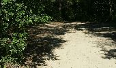 Trail Walking Roullens - promenade du domaine fantôme  - Photo 3