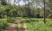 Tour Wandern Roquefort-les-Pins - Parc départemental du Sinodon.Roquefort les Pins.(19-04-17)B - Photo 7