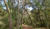 Randonnée Marche Roquefort-les-Pins - Parc départemental du Sinodon.Roquefort les Pins.(19-04-17)B - Photo 3