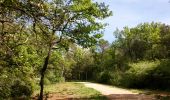 Tocht Stappen Roquefort-les-Pins - Parc départemental du Sinodon.Roquefort les Pins.(19-04-17)B - Photo 2