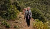 Trail Walking Osani - Rando Aller du Facteur de Girolata - Photo 5