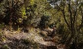 Trail Walking Osani - Rando RETOUR du Facteur de Girolata - Photo 7