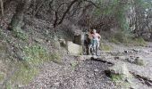 Trail Walking Osani - Rando RETOUR du Facteur de Girolata - Photo 4