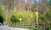 Trail Walking Sigriswil - Gunten-Merligen - Photo 8