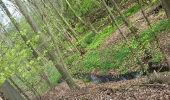 Trail Walking Beersel - Alsemberg Bois de Halle Proxirando 23 04 2017 - Photo 3