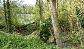 Tour Wandern Beersel - Alsemberg Bois de Halle Proxirando 23 04 2017 - Photo 9